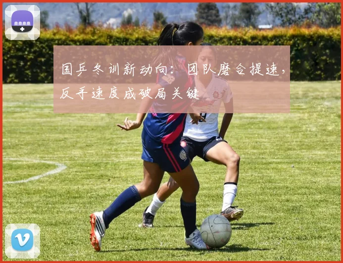 国乒冬训新动向：团队磨合提速，反手速度成破局关键 - 88看球