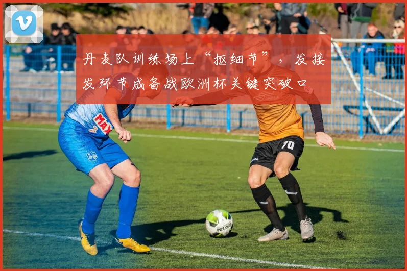 丹麦队训练场上“抠细节”,发接发环节成备战欧洲杯关键突破口