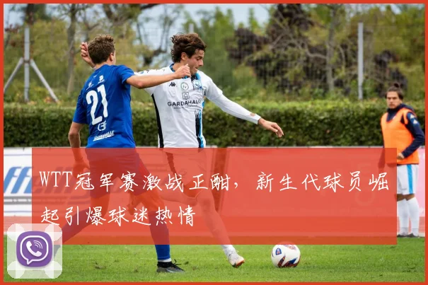 WTT冠军赛激战正酣，新生代球员崛起引爆球迷热情