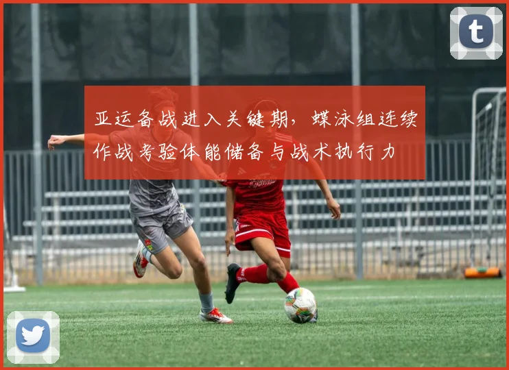 亚运备战进入关键期,蝶泳组连续作战考验体能储备与战术执行力