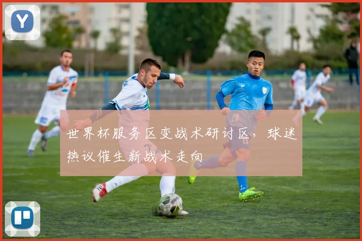世界杯服务区变战术研讨区，球迷热议催生新战术走向